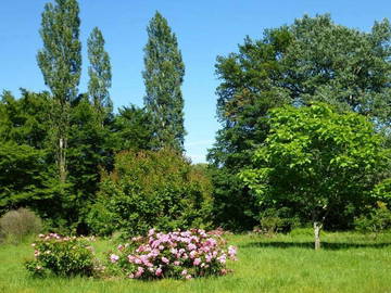 Chambre À Louer Prigonrieux 81336