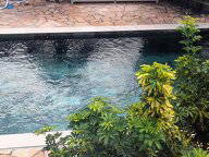 Homestay L'Étang-Salé 257246-5