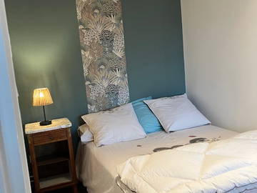 Chambre Chez L'habitant Vaulx-En-Velin 232482-1