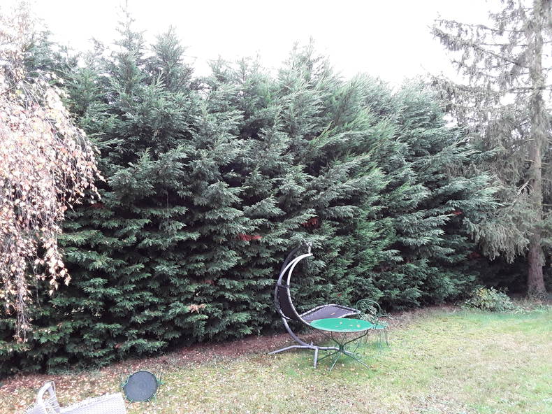 Homestay Pomeys 430305-3