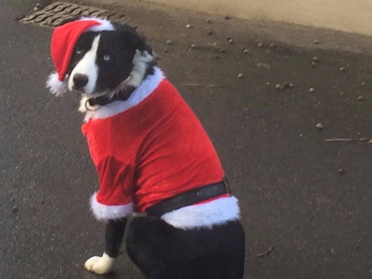 Homestay Pomeys 430305-4