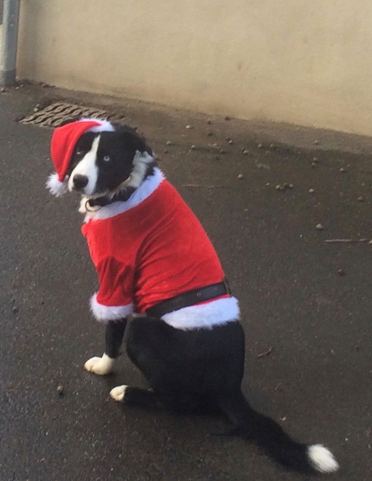 Chambre Chez L'habitant Pomeys 430305