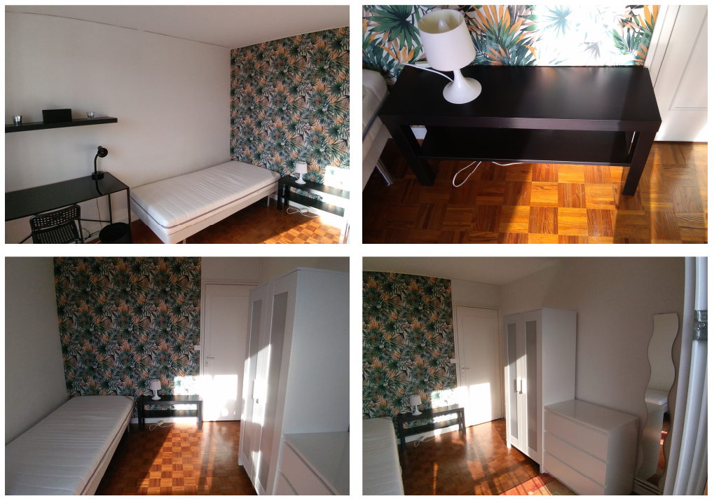 Colocation Pessac 516728