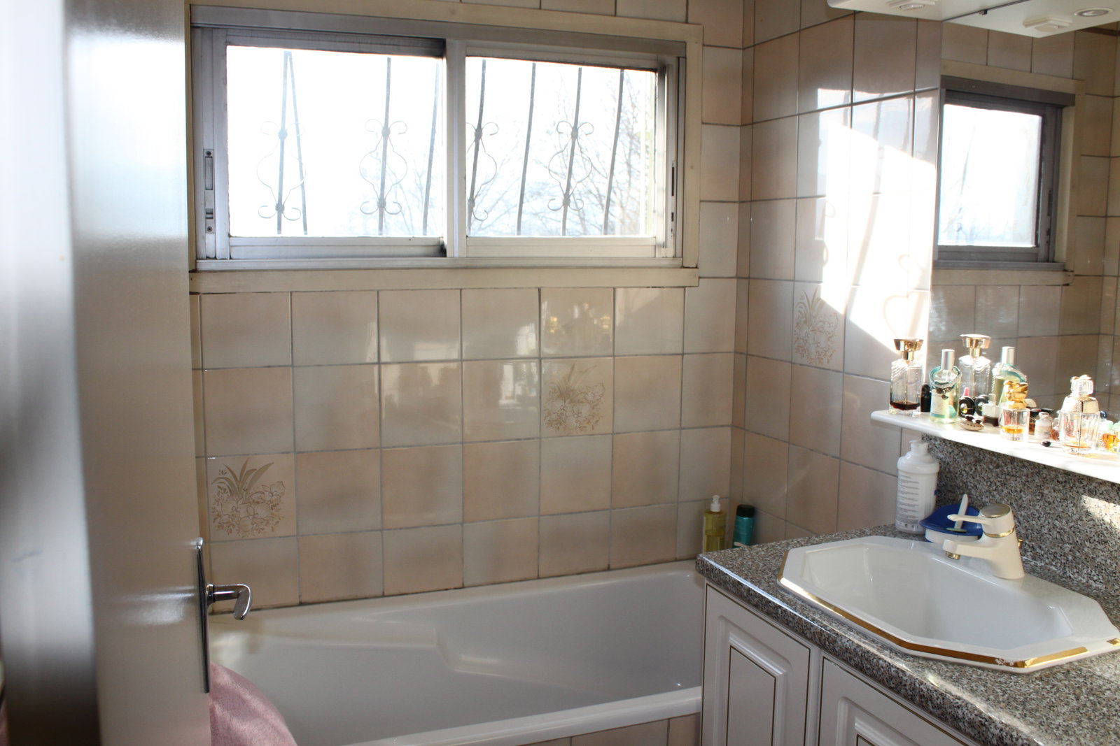 Colocation Grenoble 339732