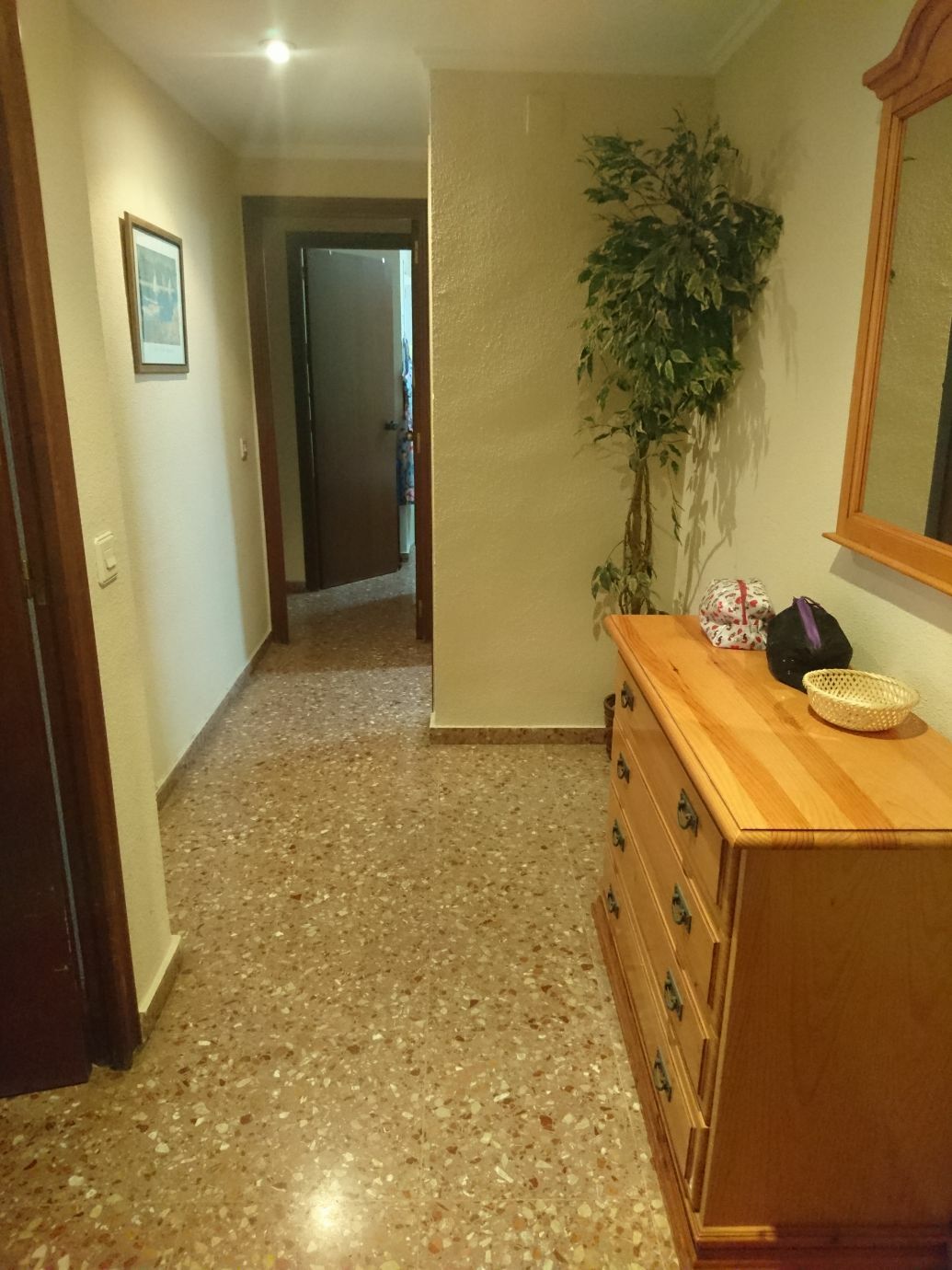 Colocation València 176892