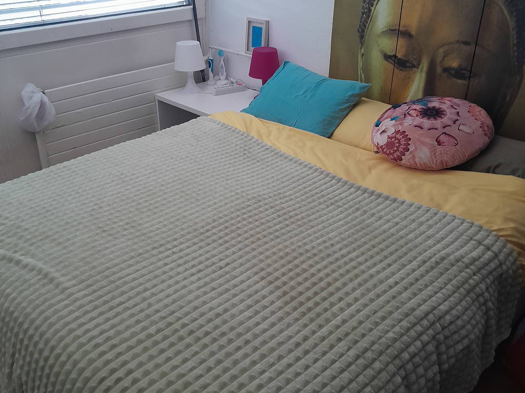 Shared Housing Carouge 233432-1