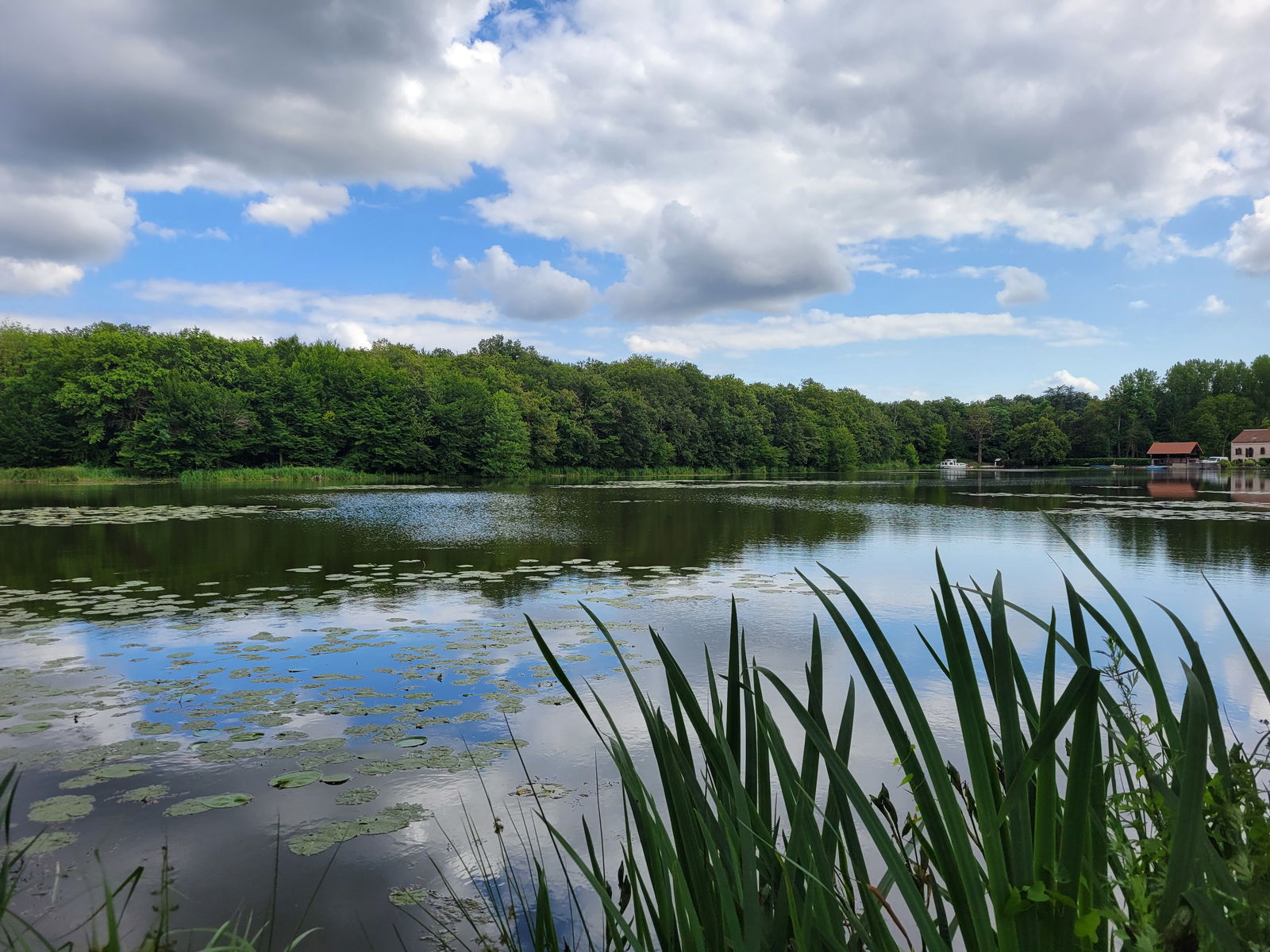 Oberoende Studio Bonny-sur-Loire 45956