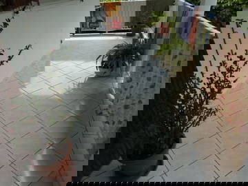 Colocation Lamentin 401398-5