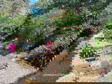 Chambre Chez L'habitant Béziers 124577-10