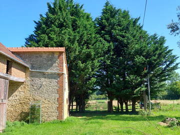 Chambre chez l'habitant à louer à Trun - photo 31-31