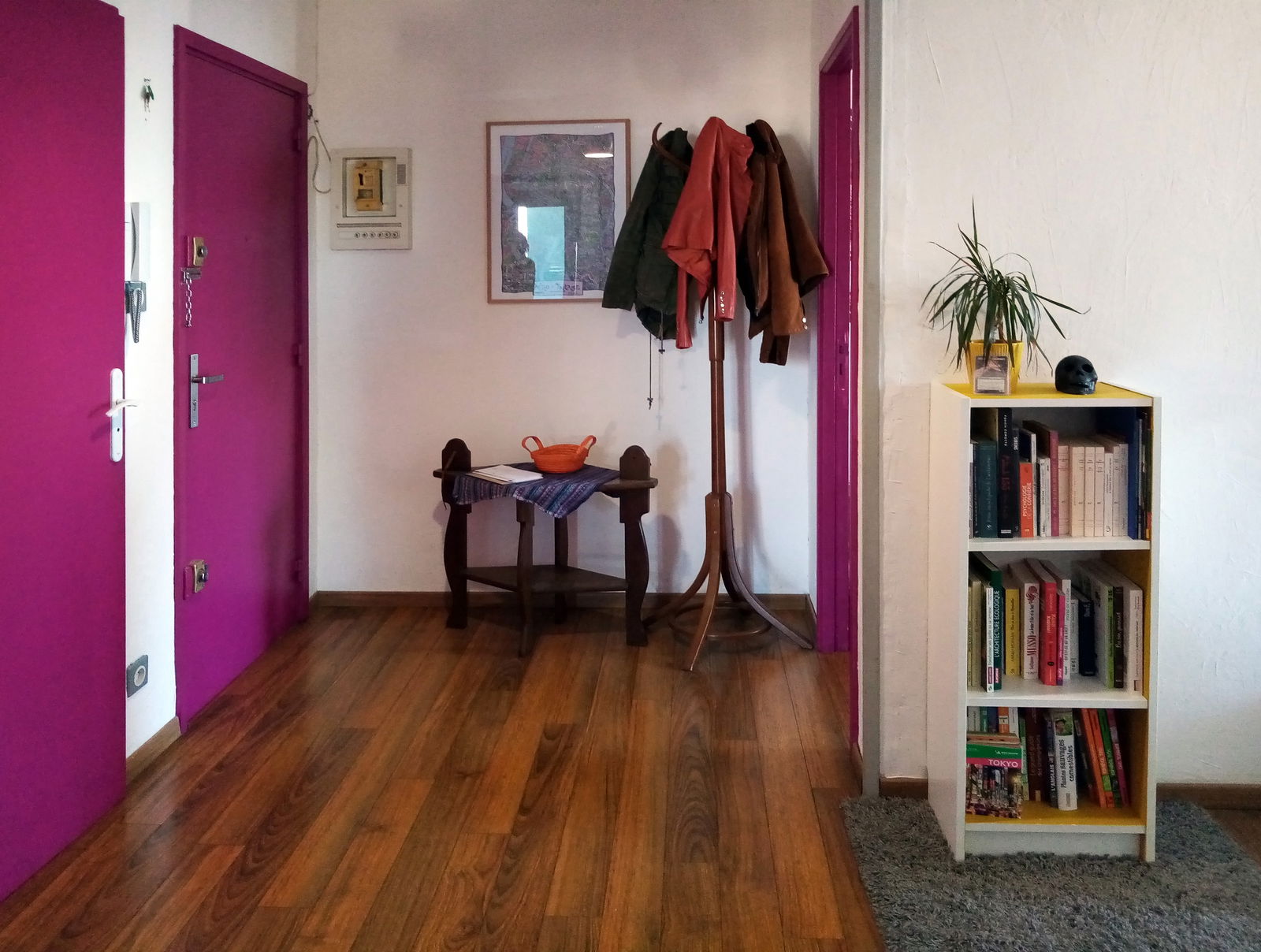 Colocation Toulouse 246047