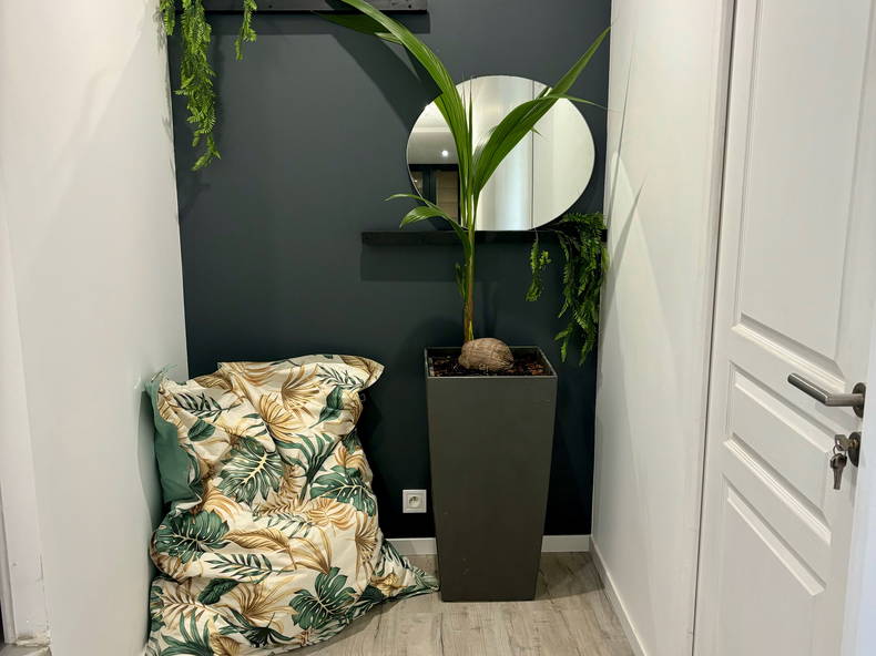 Kolokasie Poissy 534763-5