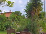 Gastfamilie Nice 570579