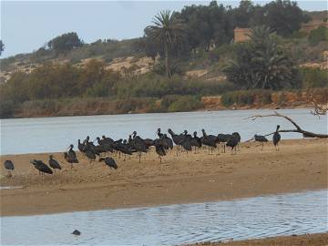 Chambre Chez L'habitant Tifnit 177608-11