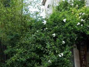 Chambre chez l'habitant à louer à Talence - photo 5 : autre pièce-5
