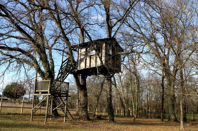 Chambres D'hôtes Yvrac 43258