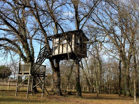 Gästezimmer Yvrac 43258-5