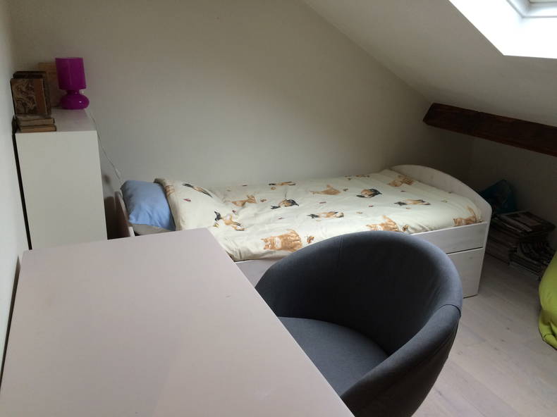 Chambre Chez L'habitant Versailles 108810-1