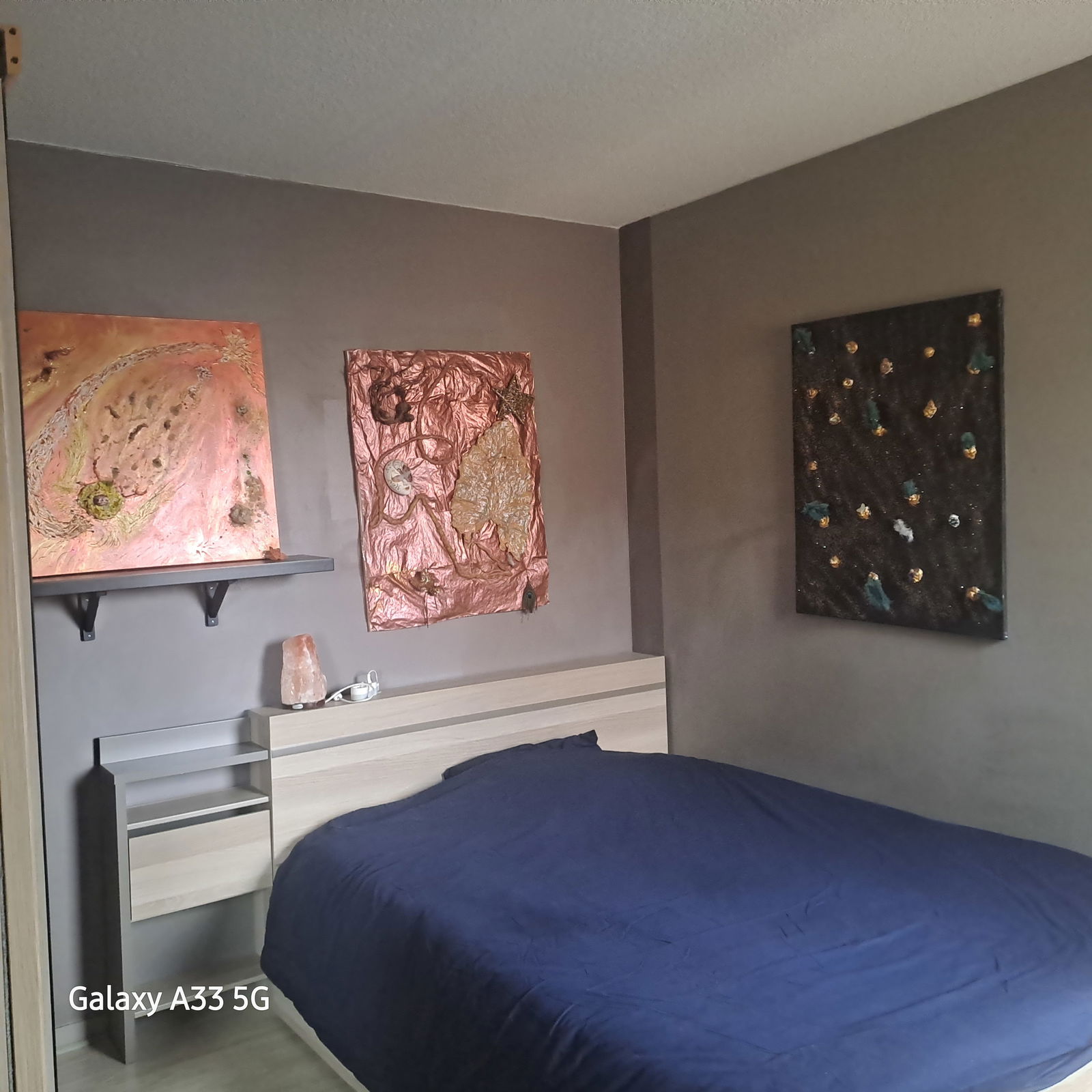 Gastgezin Blagnac 338405