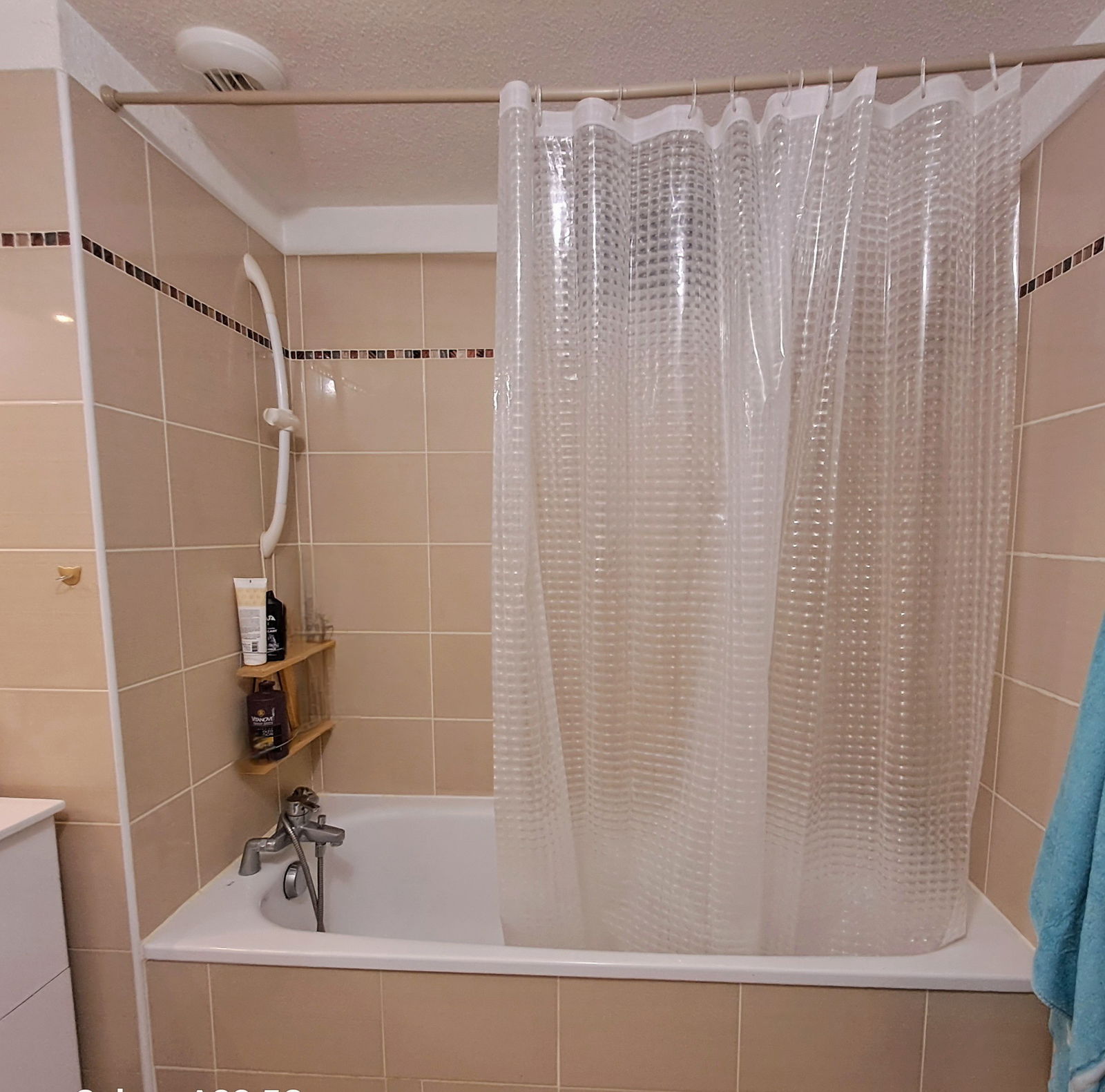 Gastgezin Blagnac 338405