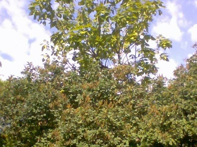 Colocation Rousset 109398-4