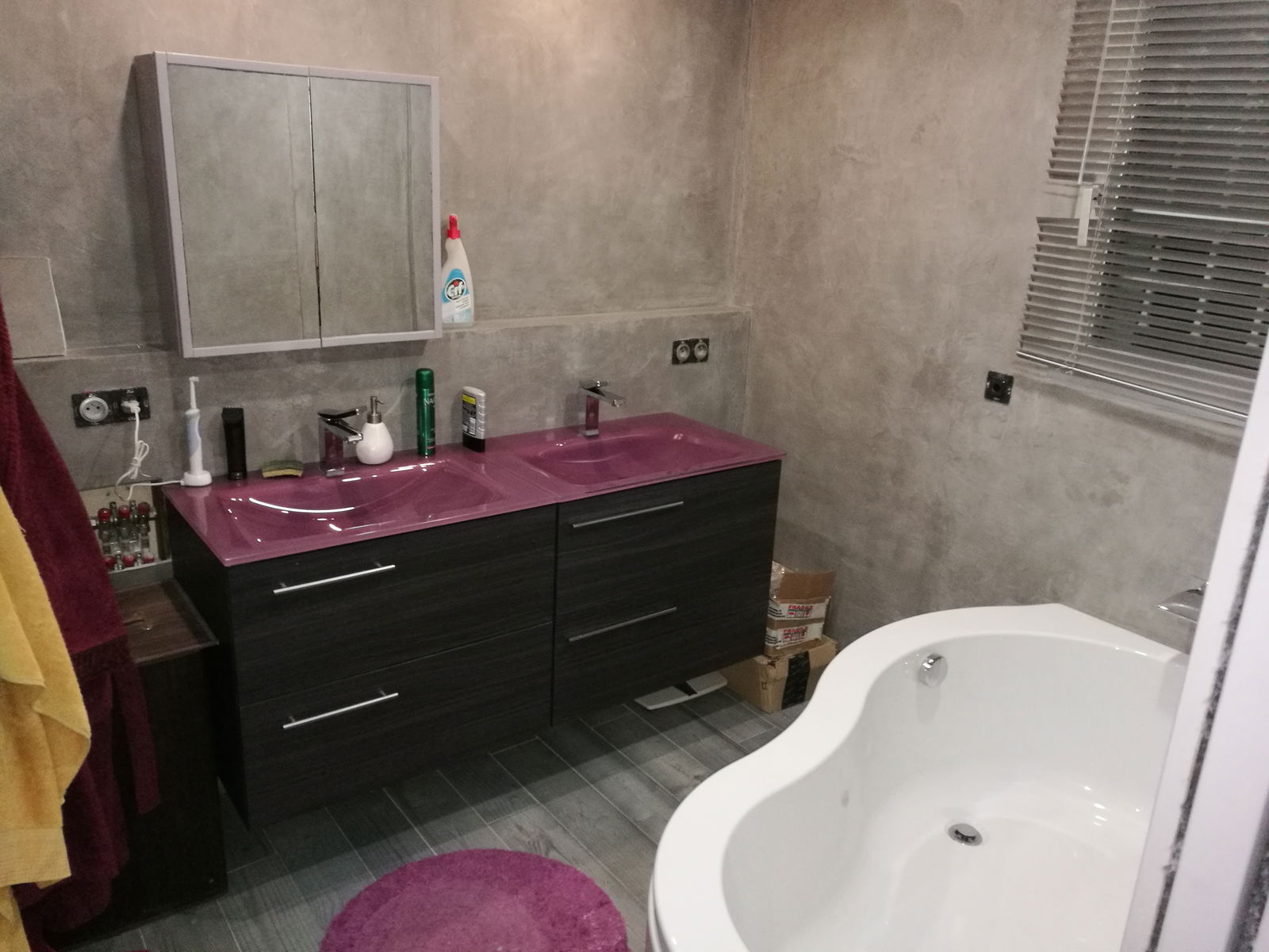 Chambre Chez L'habitant Villeneuve-Loubet 91782