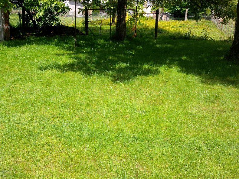 Chambre Chez L'habitant Bust 114985-3