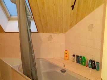 Kolokasie Rennes 41435-3