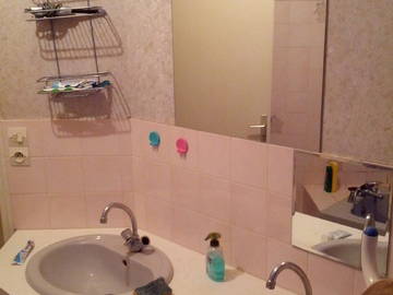 Kolokasie Rennes 41435-4