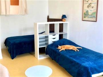 Room For Rent Noisy-Le-Sec 240765-1