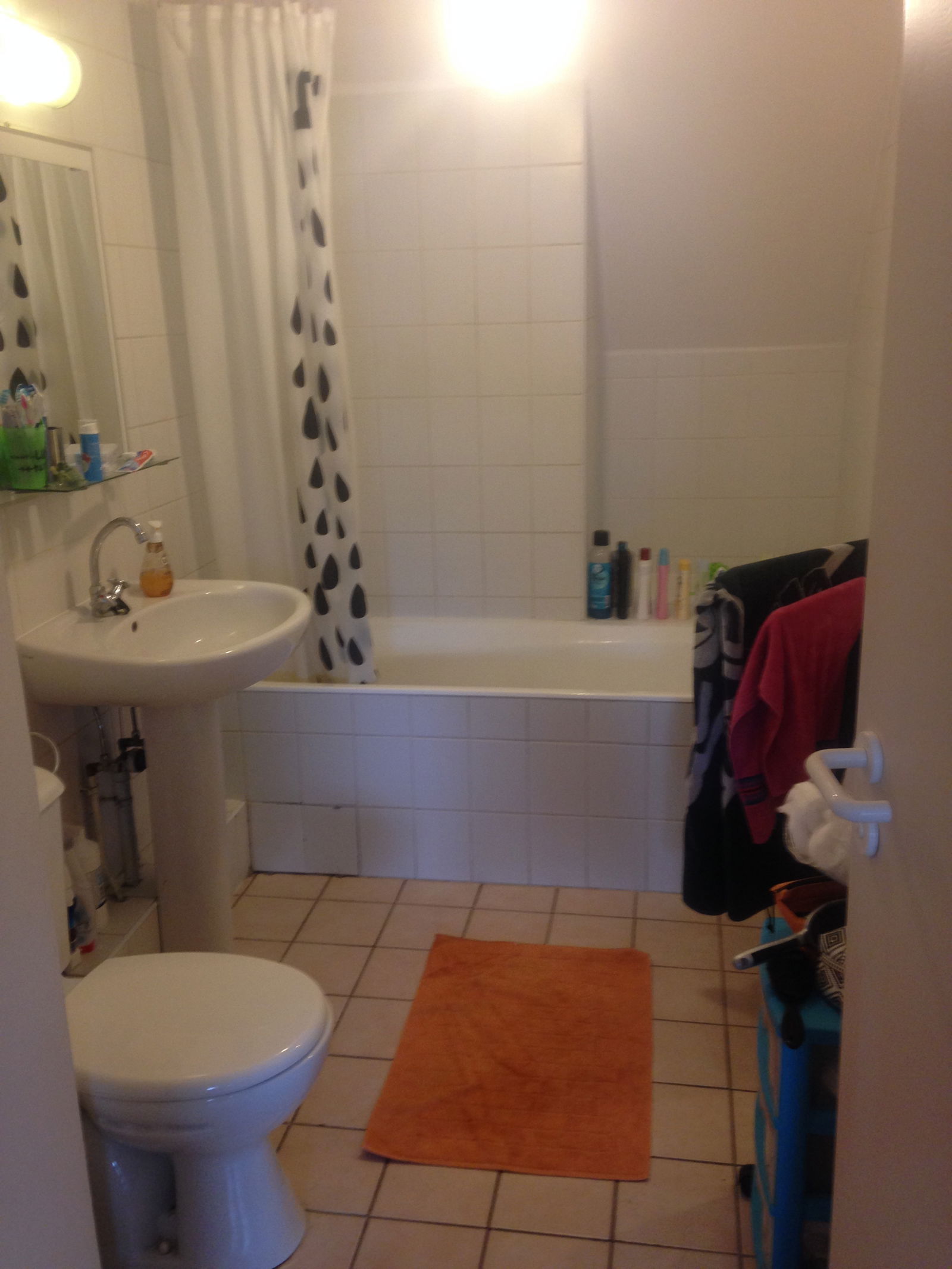 Colocation Strasbourg 144134