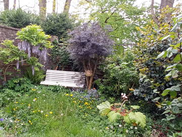 Chambre Chez L'habitant Carvin 428631-7