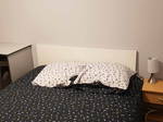 Famiglia Issoudun 621558