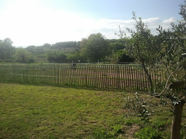 Quartos De Hóspedes Saint-Maurice-de-Cazevieille 27088