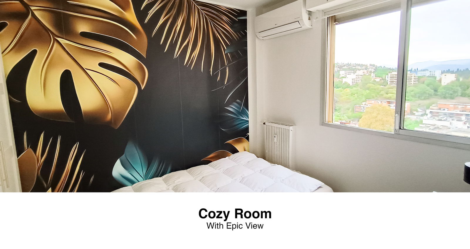 Colocation Nice 635014