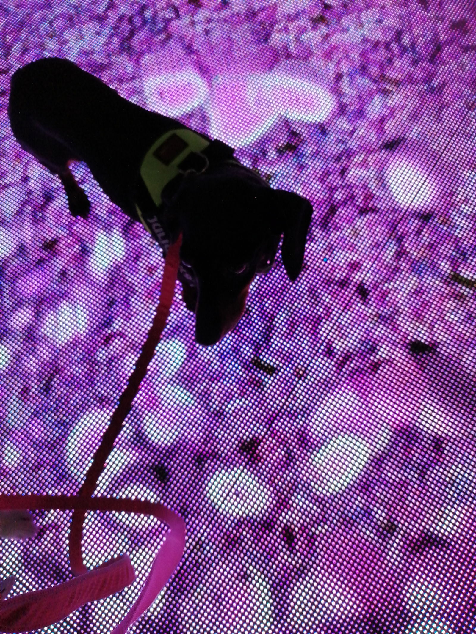 Chambre Chez L'habitant Barcelona 265313