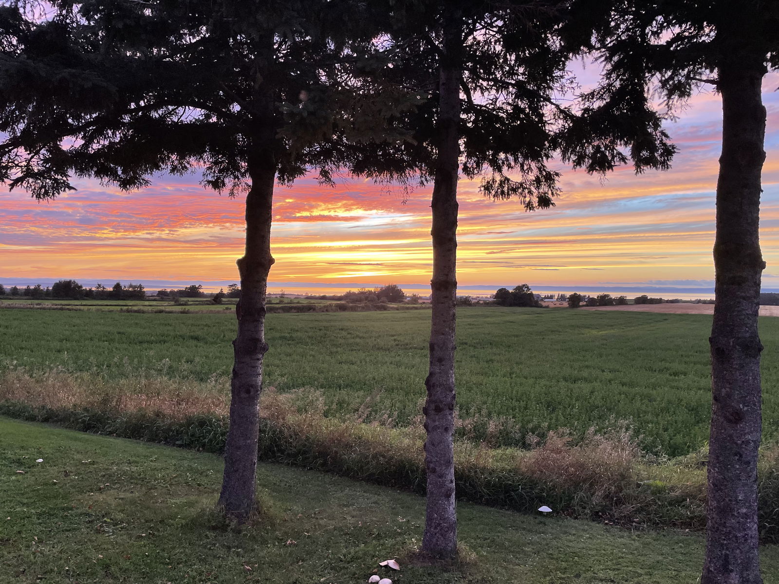 Chambres D'hôtes Saint-Ã�Loi 494123