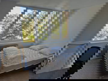 Chambre Chez L'habitant Lille 662679-8