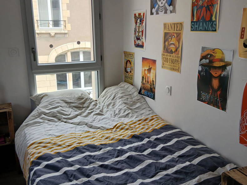 Chambre Chez L'habitant Chalonnes-sur-Loire 674147-4