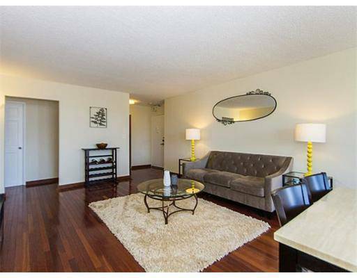 Colocation Brookline 111240