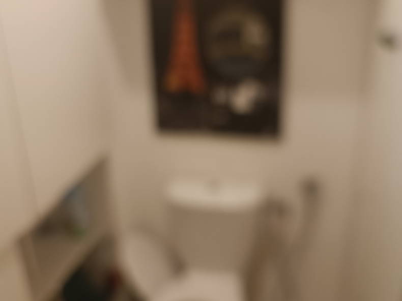 Colocation Annemasse 461702-2