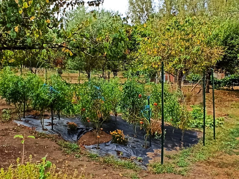 Homestay Montlieu-la-Garde 486166-1