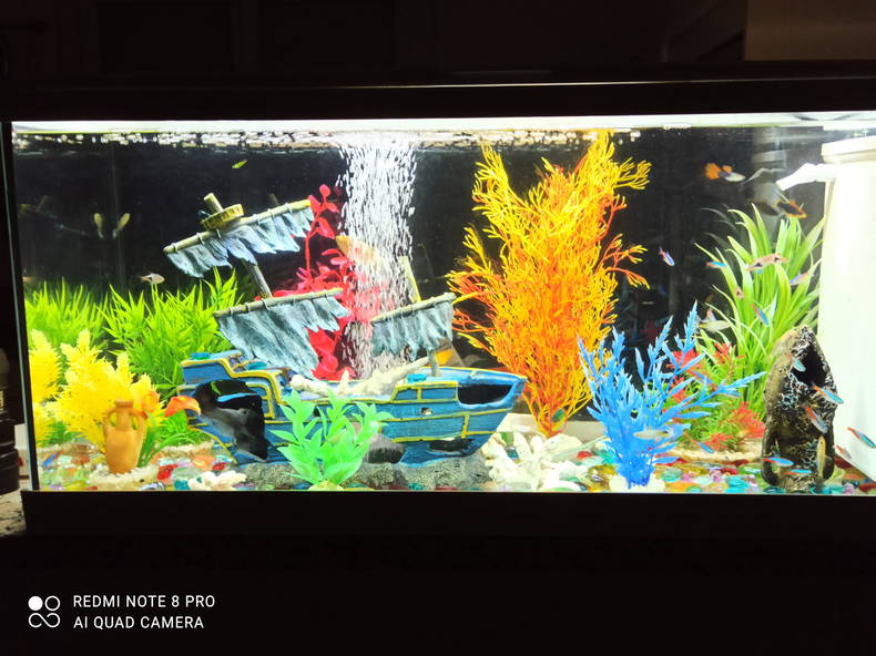 Homestay Montlieu-la-Garde 486166-2