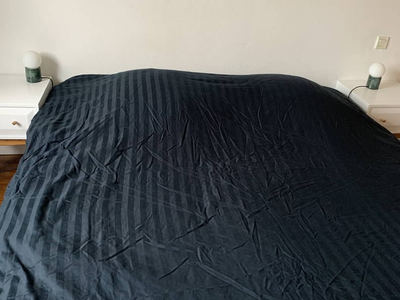 Chambre Chez L'habitant Rennes 256329-3