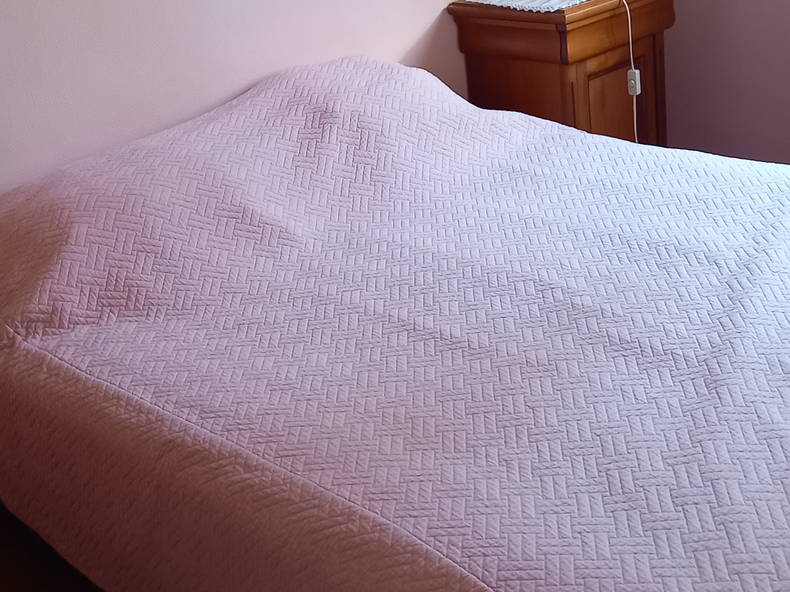 Chambre Chez L'habitant Saint-Jean-de-Braye 295589-4