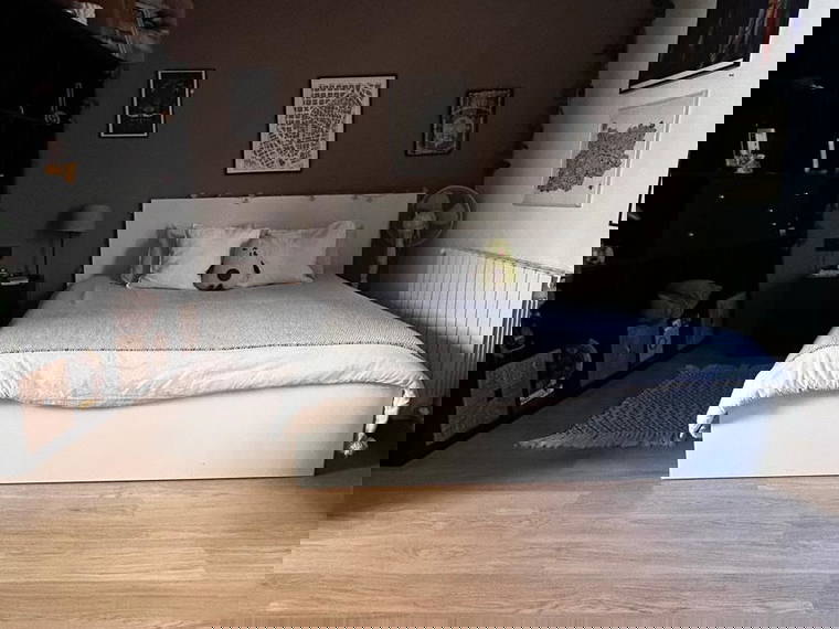 Colocación Barcelona 265006