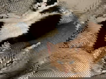 Colocation Barcelona 265006-5