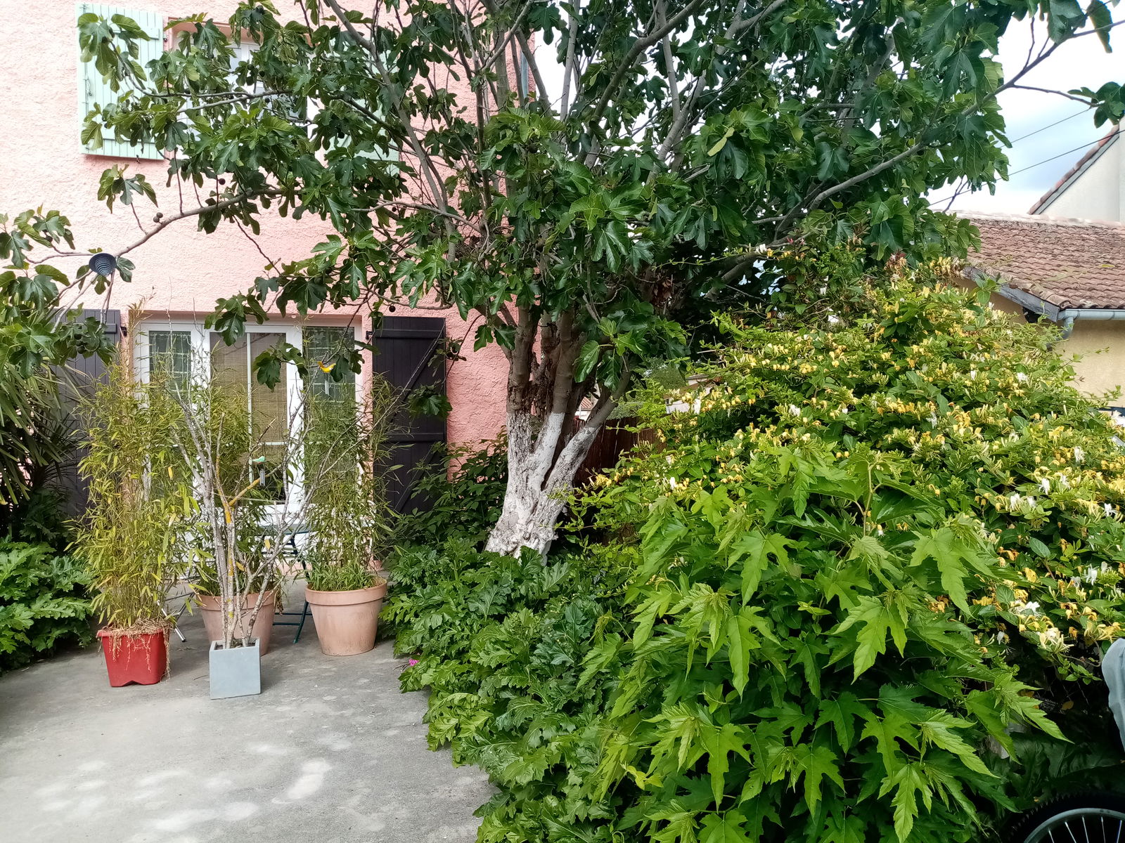 Kotimajoitus Espéraza 266810