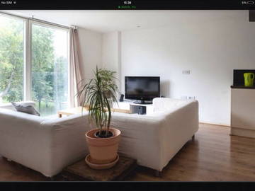 Room For Rent Londres 117383