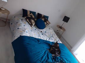 Double room for rent in house with garden and swimming pool